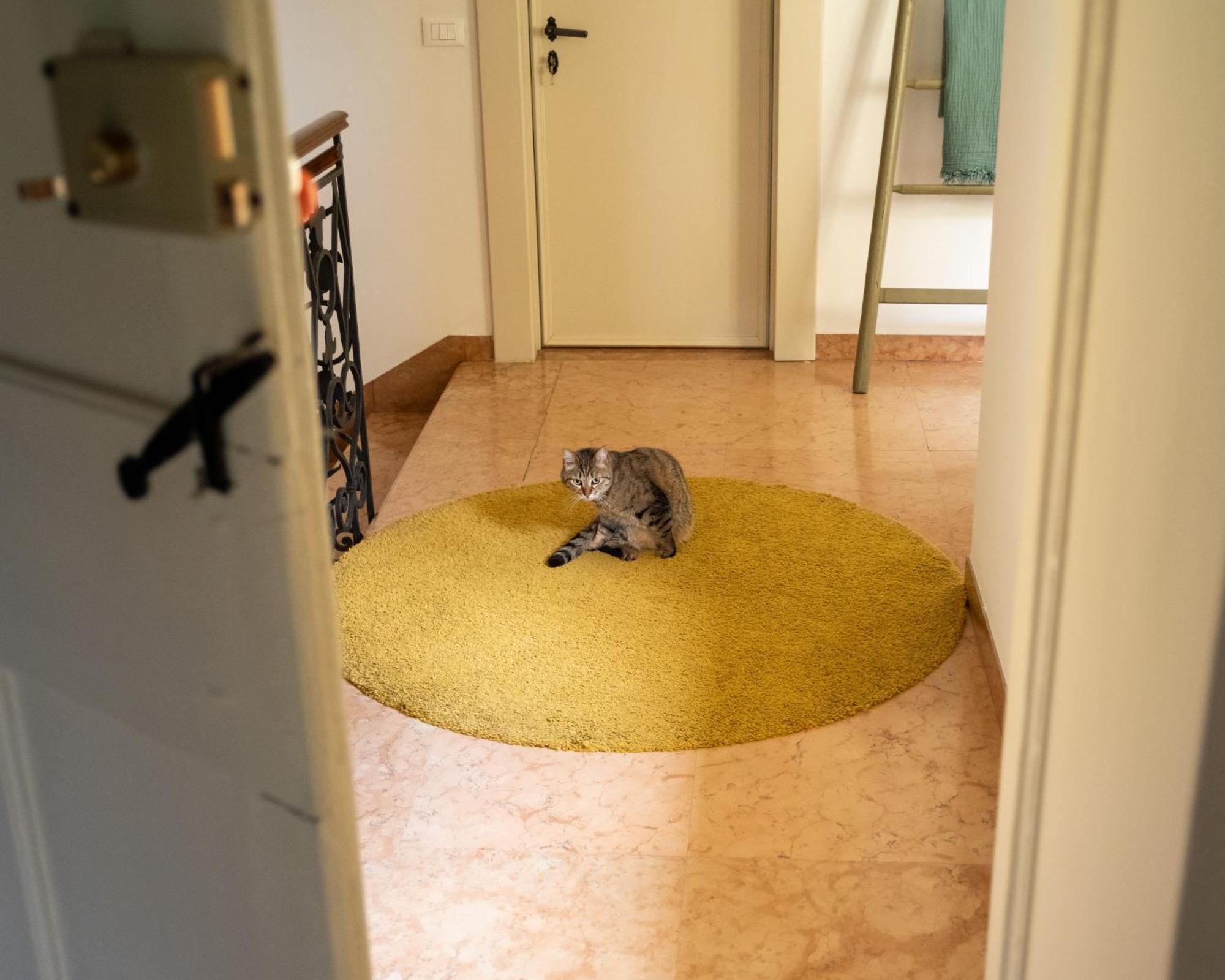 Bed & Breakfast Le 33 *